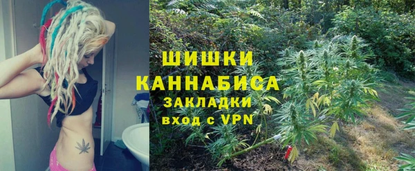 a pvp Пересвет