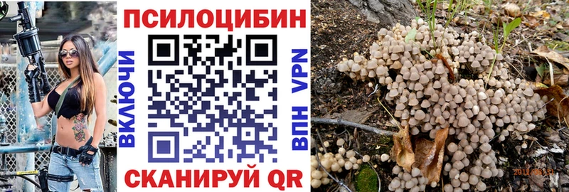 Галлюциногенные грибы прущие грибы shop какой сайт Юрьев-Польский